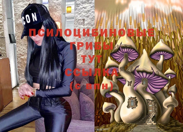 экстази Алексеевка